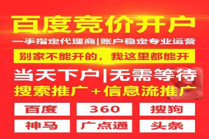 搜索引擎营销（SEM）的经典案例分析